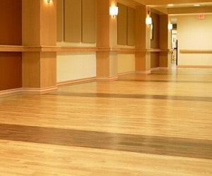 I_0812_NaturalElements