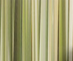 1652349553190 I 0812 Web Glass 5 1652349553190 I 0812 Web Glass 5