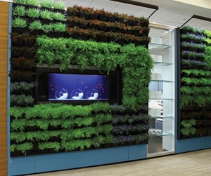 1652349770212 I 0712 Web Walls 6