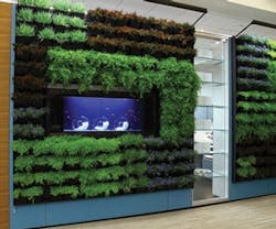 1652349770212 I 0712 Web Walls 6 1652349770212 I 0712 Web Walls 6