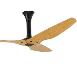 1652349858556 I 0612 Haiku 1652349858556 I 0612 Haiku