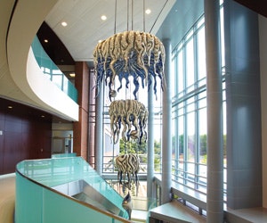 1652349960186 I 0612 Web Ts Instl Chandel 1