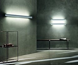 1652350866069 I 1211 Falena 1652350866069 I 1211 Falena