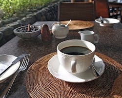 1652351141782 I 1011 Woodlandscharcoalmist 1652351141782 I 1011 Woodlandscharcoalmist