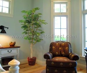 1652351166248 I 1011 Sc Plantscape 1