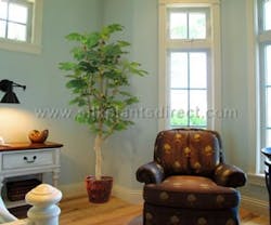 1652351166248 I 1011 Sc Plantscape 1 1652351166248 I 1011 Sc Plantscape 1