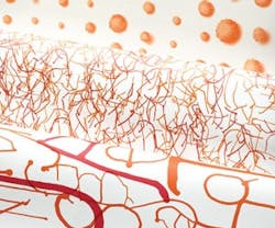 1652351339028 I 0911 Web Wallcvrgs 1 1652351339028 I 0911 Web Wallcvrgs 1