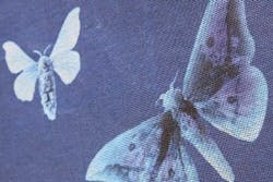 1652351669530 I 0611 Trovecooper 1652351669530 I 0611 Trovecooper