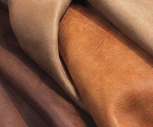 1652351901562 I 0511 Web Neocon 27