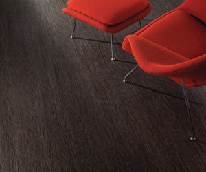 1652351954374 I 0511 Web Neocon 22