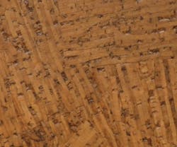 1652352337045 I 0311 Web Flrg 8 1652352337045 I 0311 Web Flrg 8