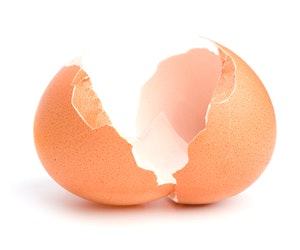 Eggshells to Combat Climate Change? I+S Design