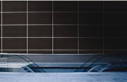 1652352987842 I 0510 Sneopre Chemetaltreefrog 1652352987842 I 0510 Sneopre Chemetaltreefrog