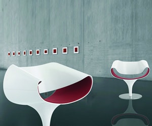 1652353093374 I 1010 Qa Perillo