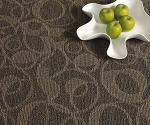 1652353249774 I 0110 Ec Jjinvision