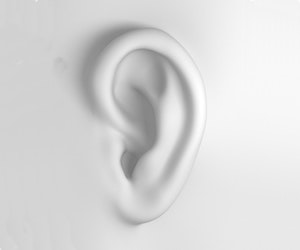 1652353254862 A 0910 Atw Wallshaveears