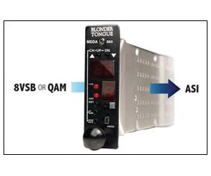 1652353577150 A 0610 Atw Blondertongue