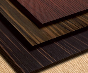 1652353597733 I 0610 Df Treefrog