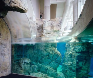 1652353644539 A 0610 Atw Belowwater4