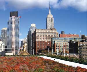 1652353814671 A 0410 Atw Greencodes