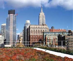 1652353814671 A 0410 Atw Greencodes 1652353814671 A 0410 Atw Greencodes