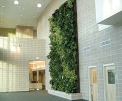 1652353985771 A 0310 Atw Livingwalls1 1652353985771 A 0310 Atw Livingwalls1