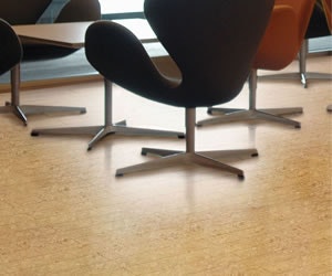 1652354119136 I 0110 Df Wicanders