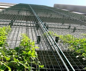 1652355053788 A 0509 Atwp Greenscreen