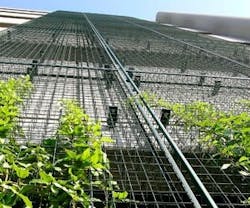 1652355053788 A 0509 Atwp Greenscreen 1652355053788 A 0509 Atwp Greenscreen