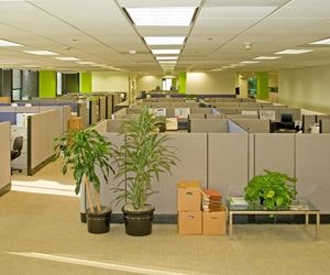 1652355135474 A 0509 Atw Alternativeworkplaces