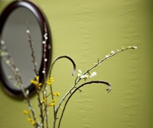 1652355218733 A 0509 Atwp Vitrulan