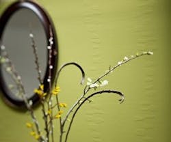 1652355218733 A 0509 Atwp Vitrulan 1652355218733 A 0509 Atwp Vitrulan