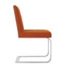 1652356096629 I 0408 Df Aceray