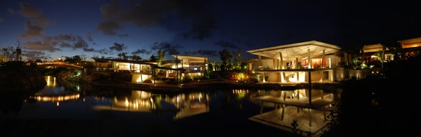 1652356594107 A 0508 Atn Junglefever2