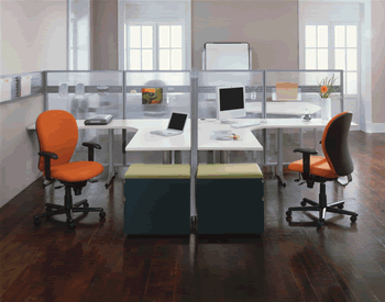 1652358251105 2natl Chameleon