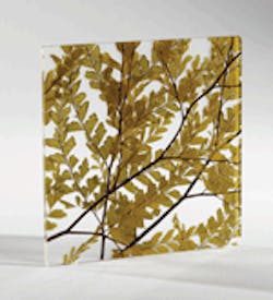 1652358414035 Nwdesigntex 1652358414035 Nwdesigntex