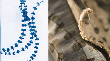 1652358615838 Maidenhair