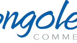 Congoleum-Commercial-Logo-Blue-Gray