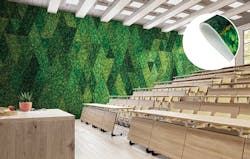 1652360527692 National Sibilance 1652360527692 National Sibilance