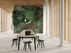 1652360752688 Fixed Omena Hero 1000 1652360752688 Fixed Omena Hero 1000