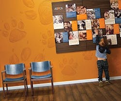 1652362107963 I 0617 Web S Releases 8 1652362107963 I 0617 Web S Releases 8