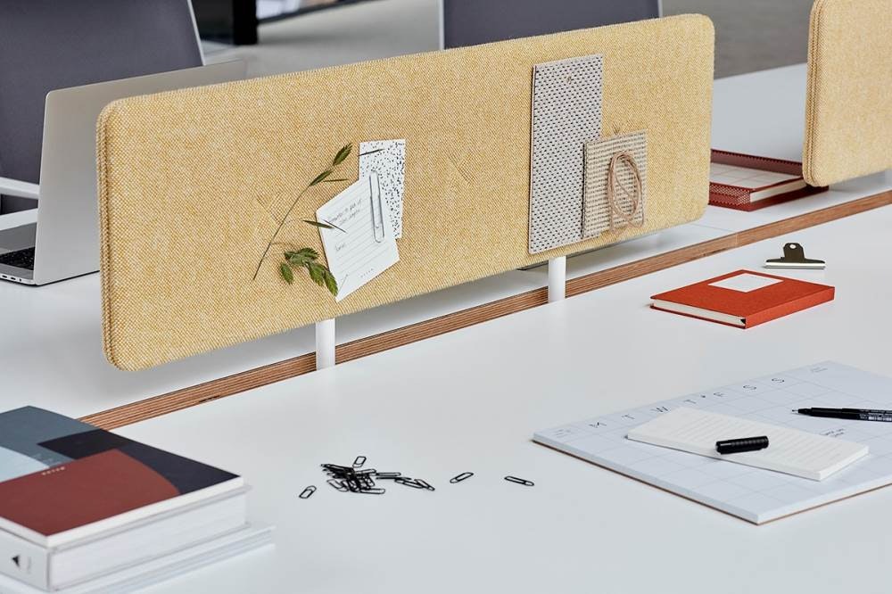 Senator_Pailo_Detail3