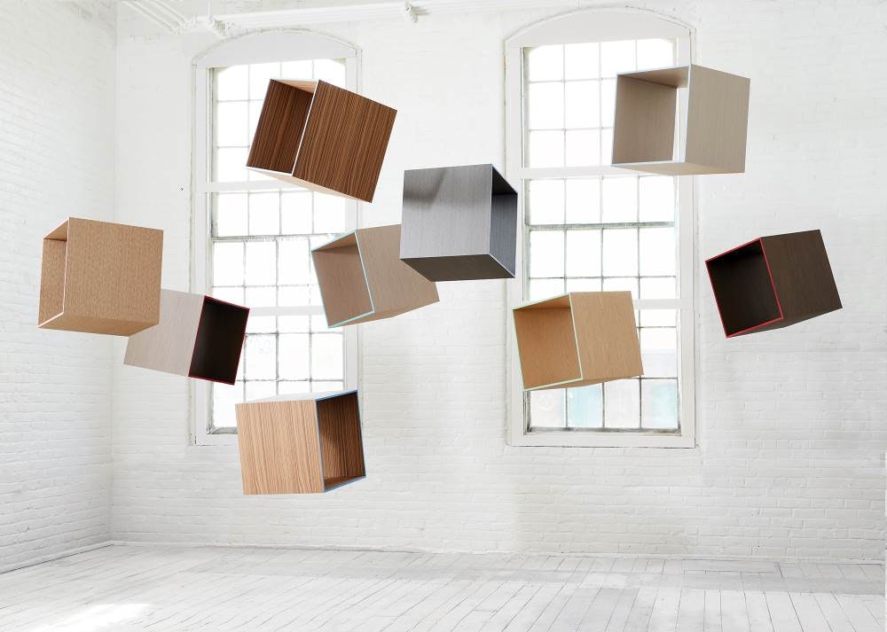 1652364008846 Treefrog Open Wide View Medium