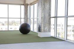 1652364644918 Ecorewellnesscollection 1652364644918 Ecorewellnesscollection