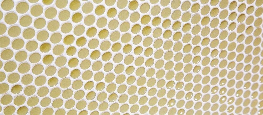 1652364977157 Is 0319 Sources Fusion Nemo Tilestone Fusion Canary Penny Ds 01 Ml