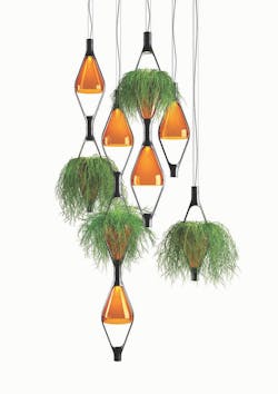 1652365132956 Viceversafromkundalini 1652365132956 Viceversafromkundalini