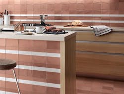 1652365644612 Dash Nemotilestone 500 1652365644612 Dash Nemotilestone 500