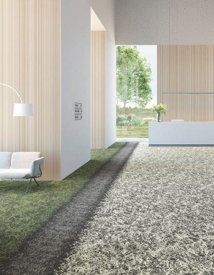 1652365867970 Shiftingfieldsshaw