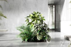 1652366000386 Nesite Floor Small 1652366000386 Nesite Floor Small