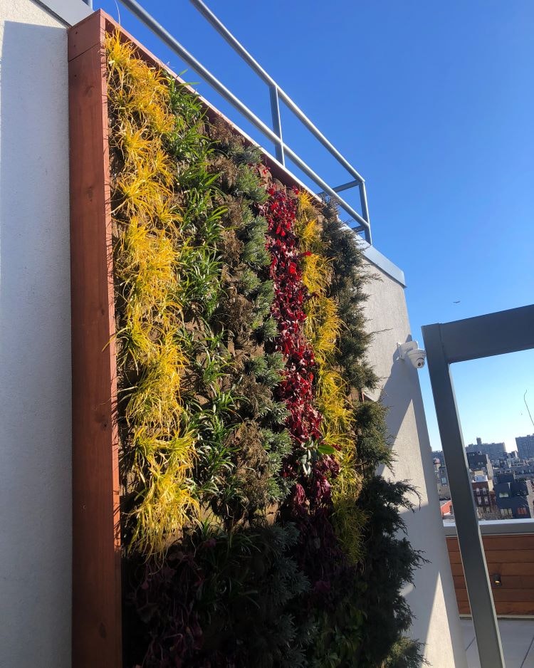 1652366327373 Ecobrooklynweb